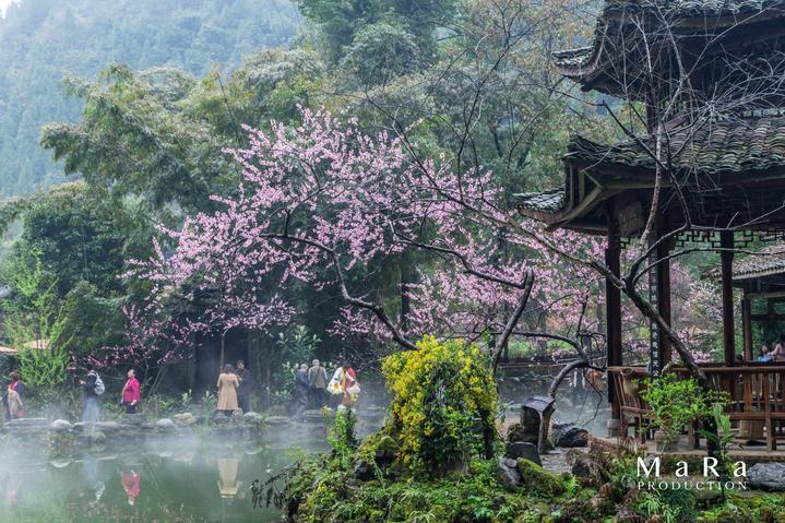 具俊晔出具无犯罪证明，汪小菲有资格要求大S的前任吗？游戏画面