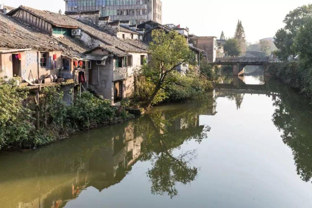 泰山队队内对抗赛调整状态，新外援打进两球，国脚下周归队合练